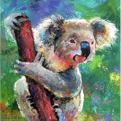 Koala 15
